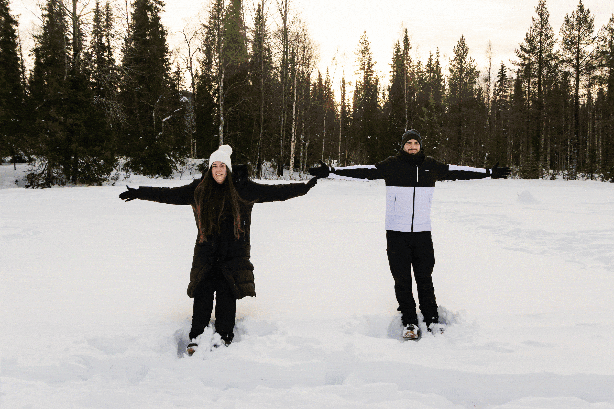 gif luosto seance fiancailles